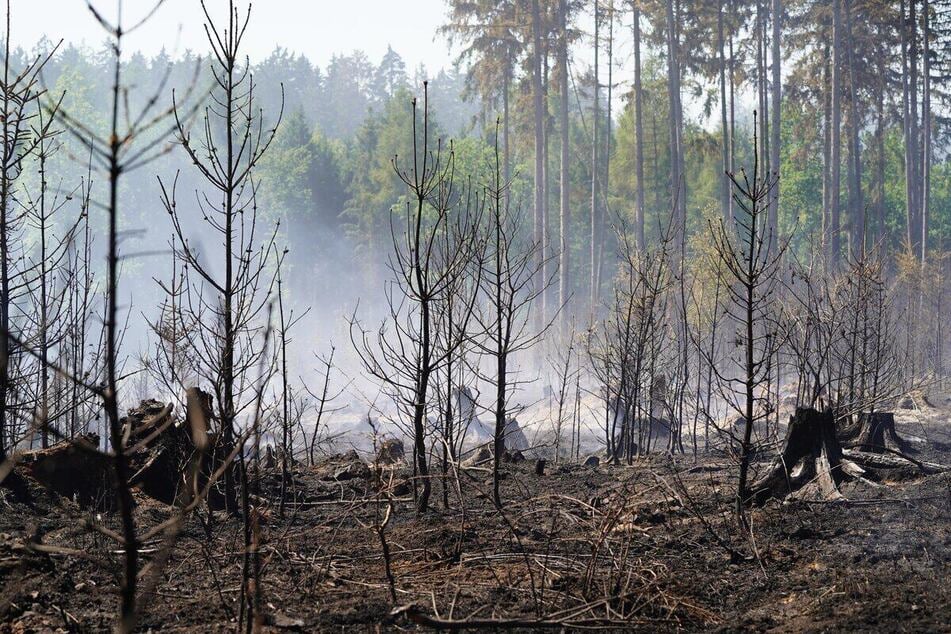 Immer wieder entfachen Glutnester das Feuer erneut. Auch über Nacht wird der Löscheinsatz fortgesetzt.