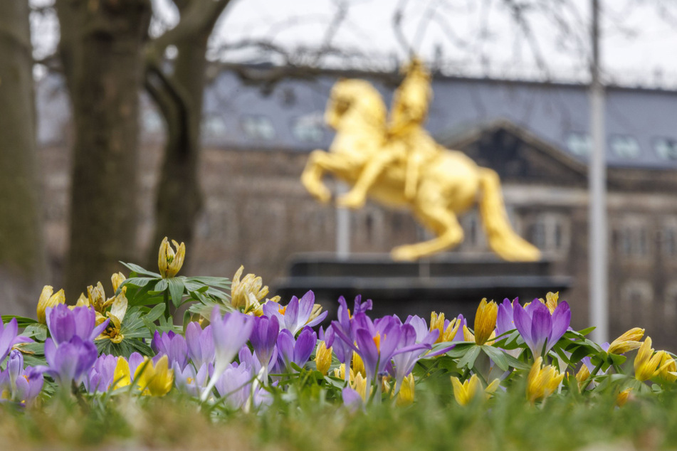 Am Goldenen Reiter zeigt sich der Frühling von seiner schönsten Seite.