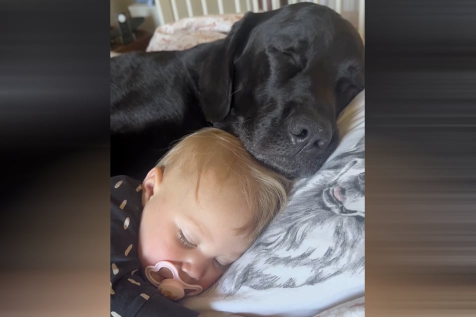 Ein Herz und eine Seele: Baby Lilly und Rüde Elvis trennt nichts und niemand.