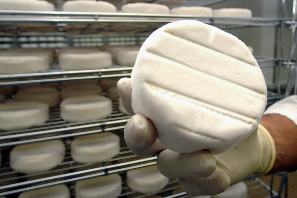 In sieben deutschen Bundesländern müssen Menschen darauf achten, den zurückgerufenen Camembert nicht mehr zu essen. (Symbolbild)