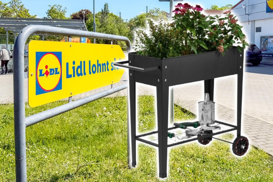 Dieses schöne Hochbeet von Lidl kostet nur 24,99 Euro