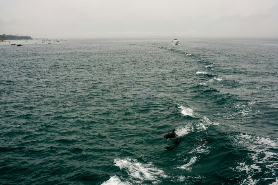 Spruch des Tages vom 12.3.2026 - Tägliche Inspiration von TAG24