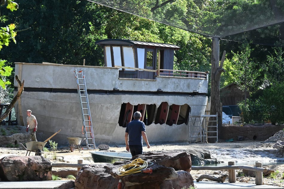 Das gestrandete Schiff.