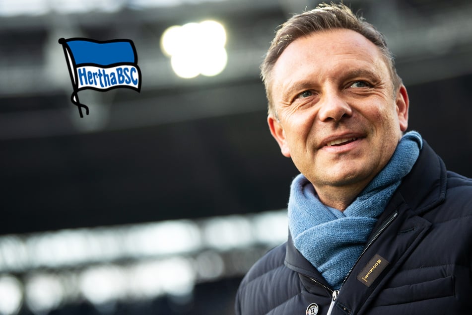 Trainersuche bei Hertha BSC: Schwarz gilt als Favorit, lockt die Alte Dame auch Breitenreiter?