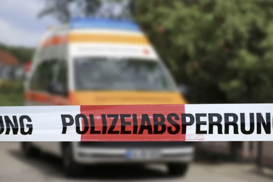 Der Autofahrer überlebte den Unfall nicht. (Symbolfoto)