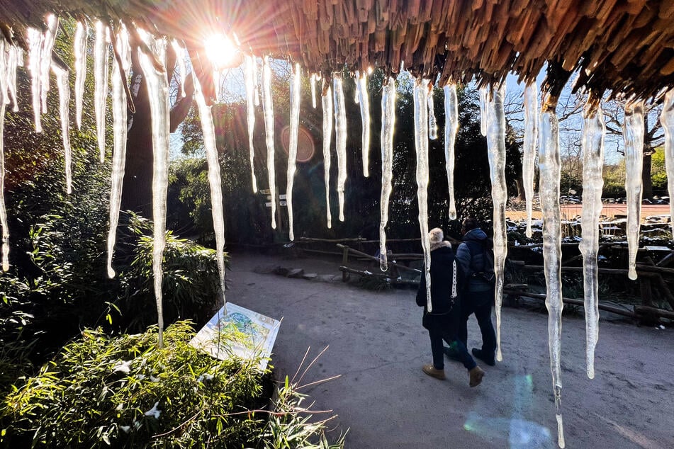 Nach sehr viel Kälte wird es bald deutlich milder in Thüringen. (Symbolfoto)