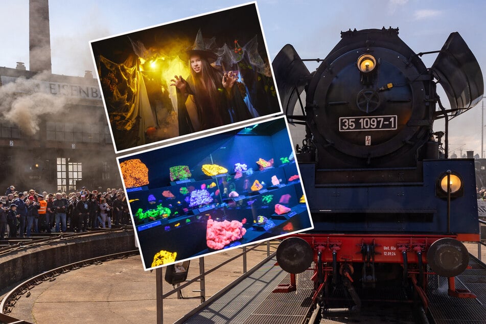 Dresden: Sonntag noch nichts vor? Diese sieben Tipps legen wir Euch ans Herz