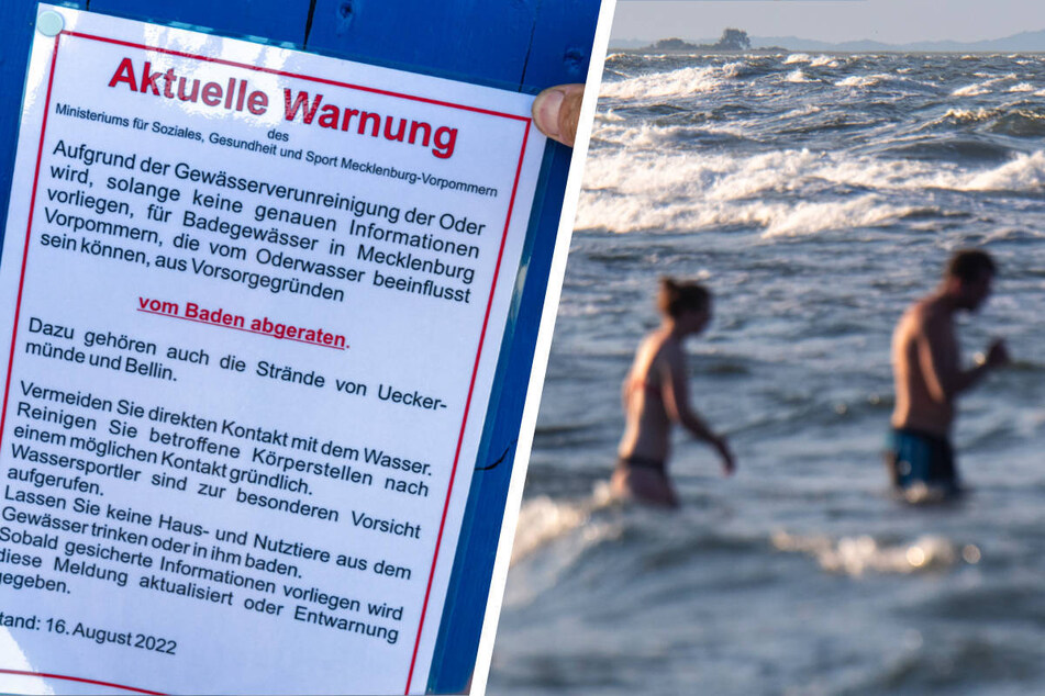 Trotz Fischsterbens in der Oder: "Beste Badebedingungen" in Ostsee