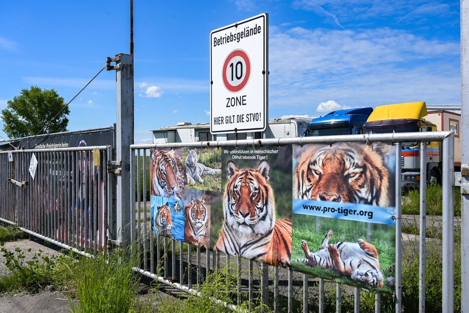 Werbung für Carmen Zanders Raubkatzen am Zaun zu ihrem Gelände. Wie es nach dem Ausbruch eines der Tiger mit den übrigen Tieren weitergeht, ist weiterhin unklar.