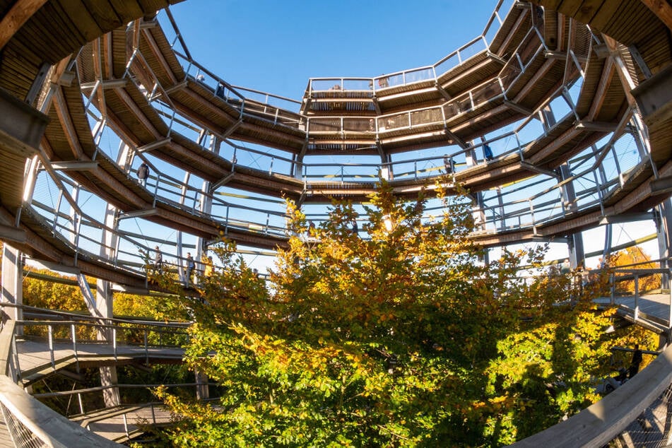 Beim Erklimmen des Baumwipfelpfades auf Rügen kam Rakers an ihre Grenzen.