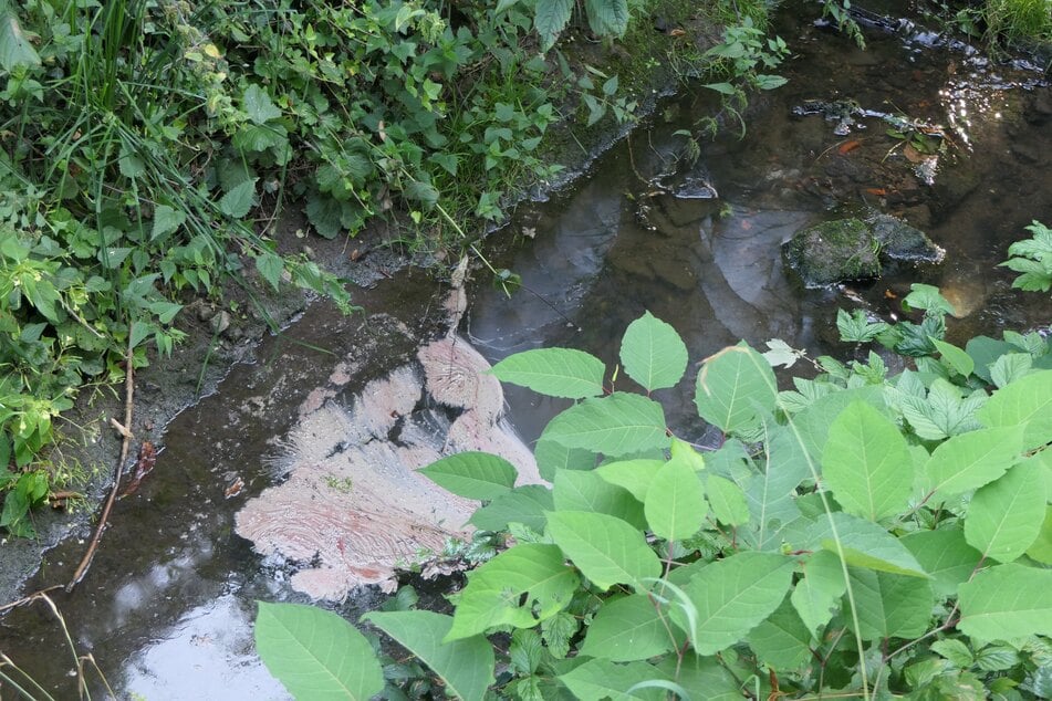 Aus bisher unbekannter Ursache war Öl in das Wasser geraten.