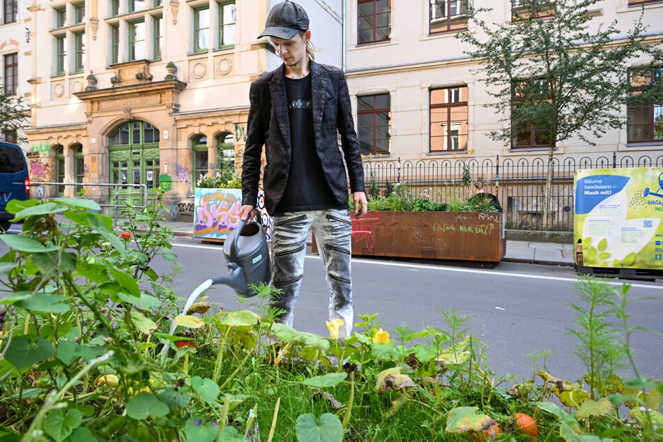 Justin Strombach (30) kümmert sich neben seiner Arbeit regelmäßig um die Pflanzen.