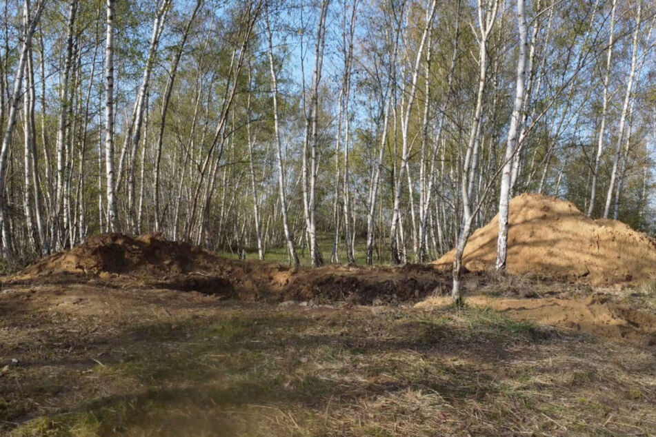 Die Leiche der 19-Jährigen wurde in dieser Kiesgrube nahe Helmstedt gefunden.