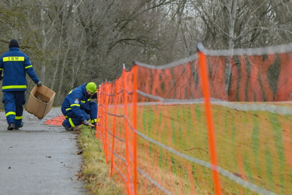 Zwei THW-Mitarbeiter errichten einen Schutzzaun gegen die Afrikanische Schweinepest. Nach dem Auftreten der Seuche in Brandenburg muss das Gebiet schnell identifiziert und abgegrenzt werden. (Symbolfoto)