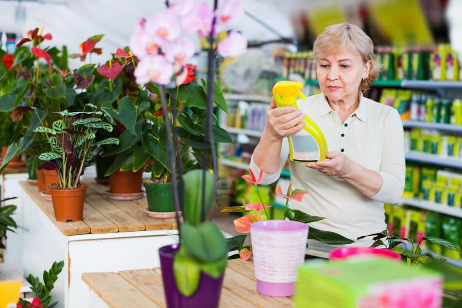Wenn die Blätter einer Orchidee abfallen, muss ein passendes Gegenmittel her.