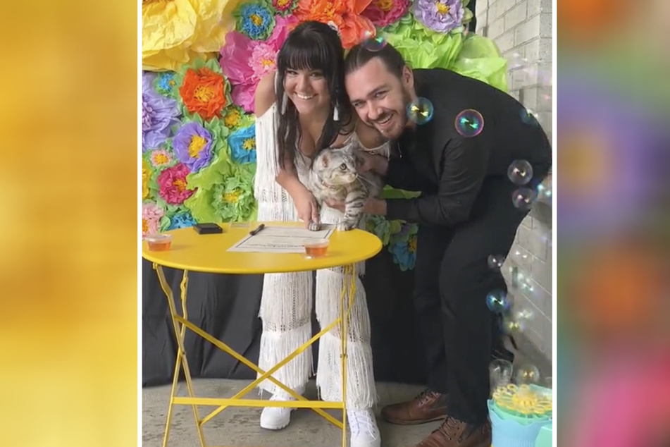 A Colorado couple's cat acted as their witness at a redo of their wedding!