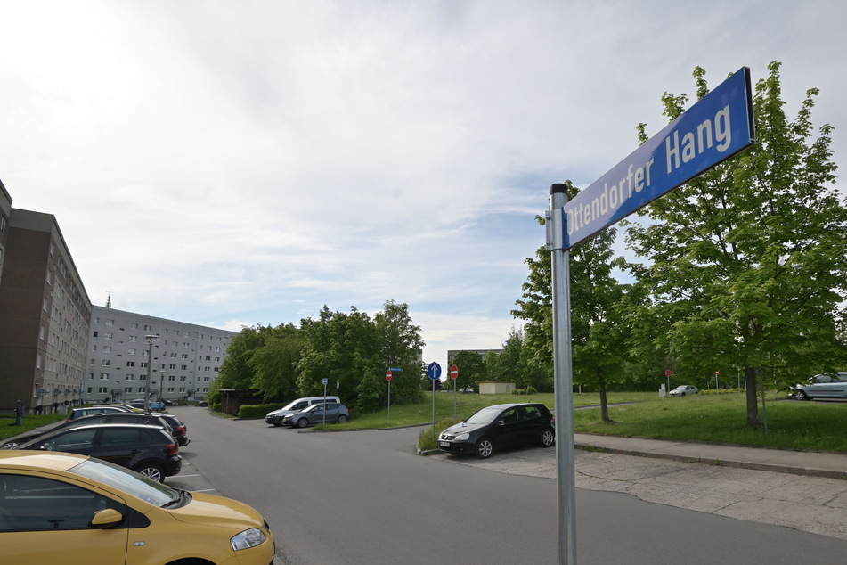 In diesem Wohngebiet am Ottendorfer Hang in Hainichen soll sich das Verbrechen abgespielt haben.