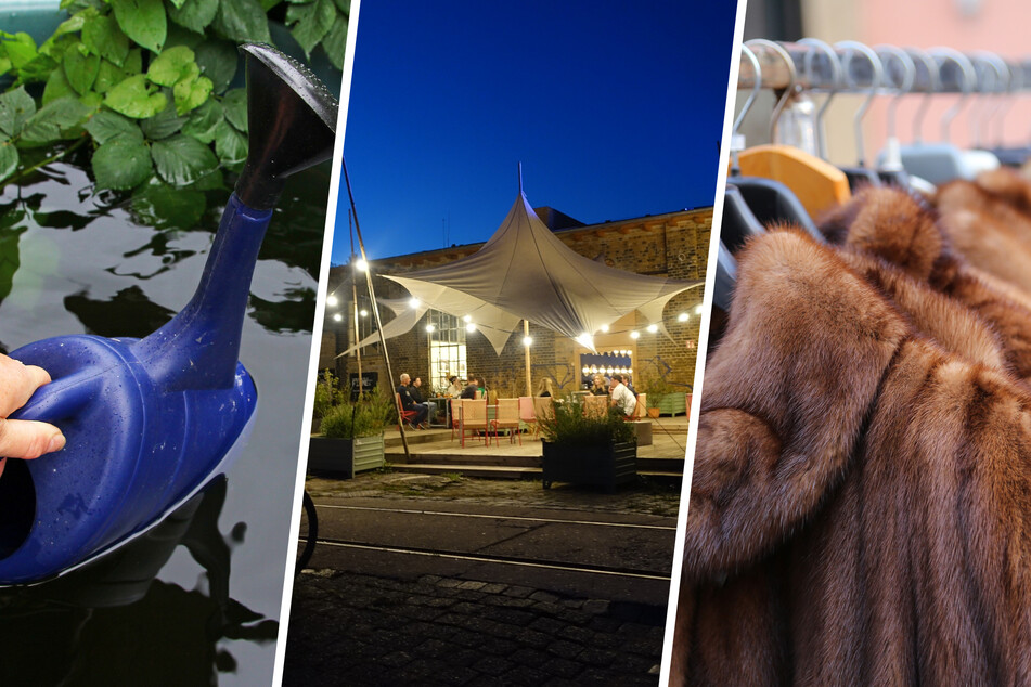 Leipzig: Ob Ruhe im Grünen oder Party beim Festival: Das geht diese Woche in Leipzig