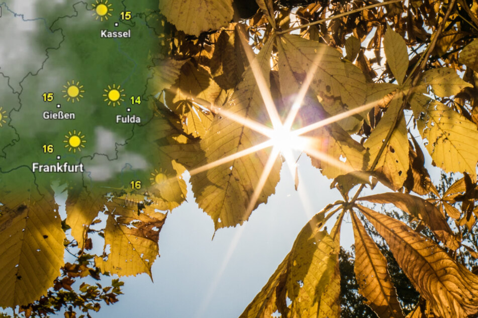 Herbst-Sonne auf dem Frankfurter Lorberg: In der kommenden Woche dürfen die Hessen auf ein paar Sonnenstrahlen hoffen.