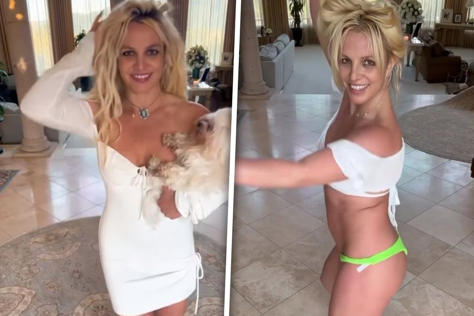 Britney Spears (41) kann nicht glauben, dass ihre Familienangehörigen wirklich derartige Gerüchte über sie verbreiten.