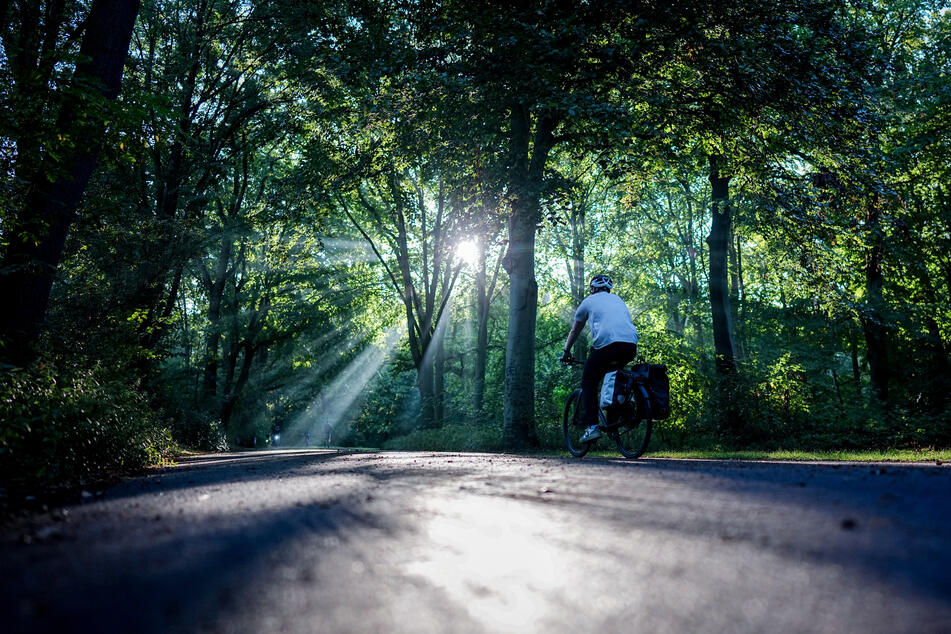 Sonnenmomente wie hier im Berliner Tiergarten - gibt es noch. Dennoch lässt sich der einsetzende Herbst immer weniger verleugnen. (Archivbild)