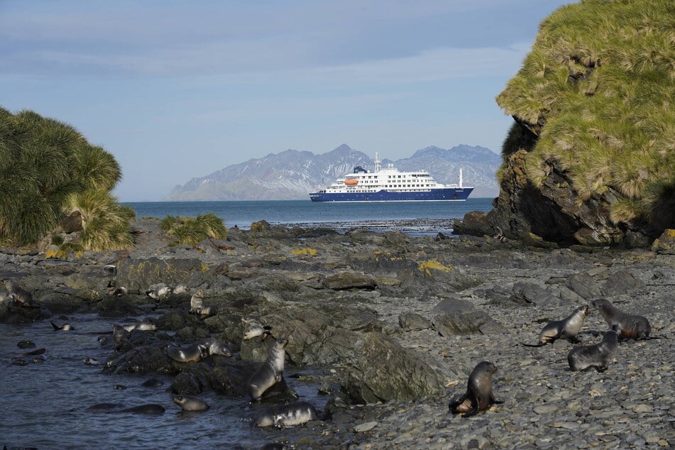 Das Polarkreuzfahrtschiff "MV Hondius" ist 107 Meter lang und hat Platz für 170 Passagiere.
