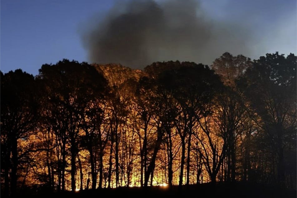 A brushfire blazes in New York City's Prospect Park amid drought conditions.