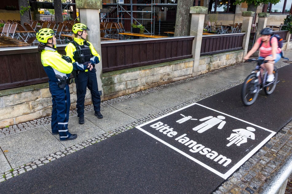 Dresden: Bürgermeister lässt Elberadweg bemalen