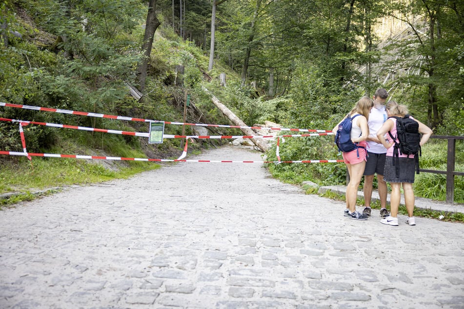 Hier geht es nicht weiter: Der Malerweg ist oberhalb des Amselsees für Besucher gesperrt.