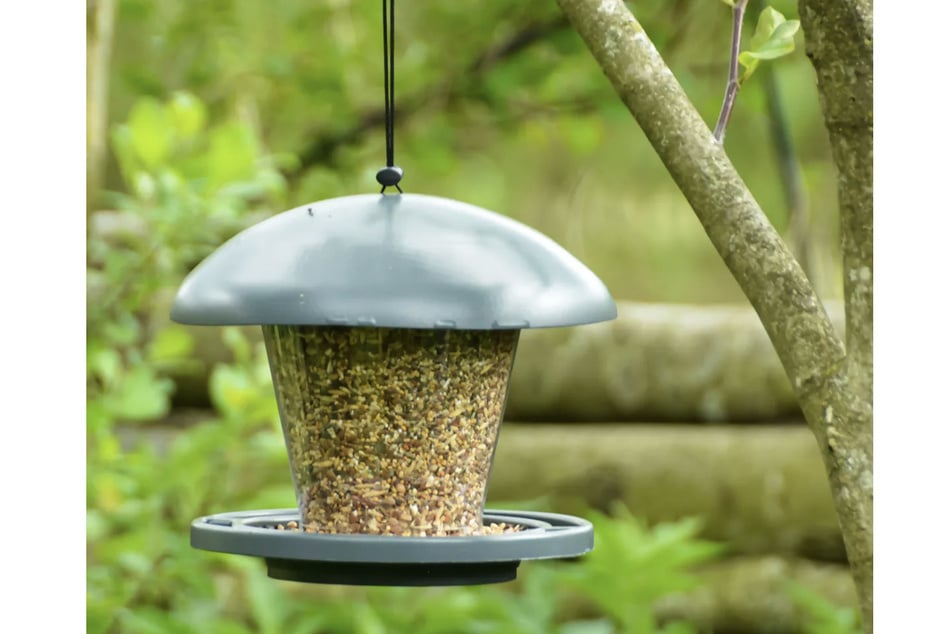 Dieses Futtersilo ist eine hervorragende Futtersäule für Vögel.