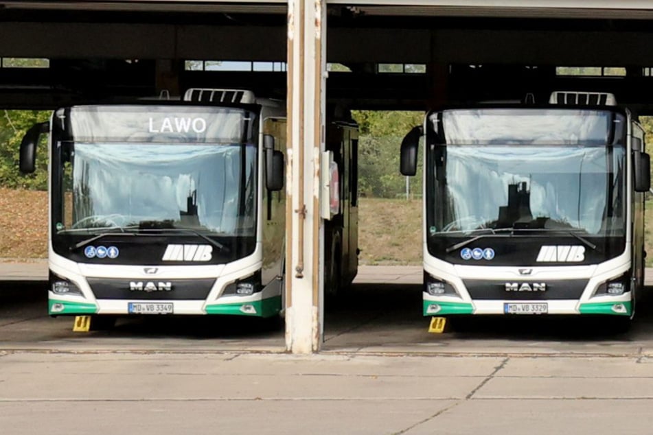 Baustellen sorgen für Umleitungen bei den MVB: Diese Buslinien sind betroffen!