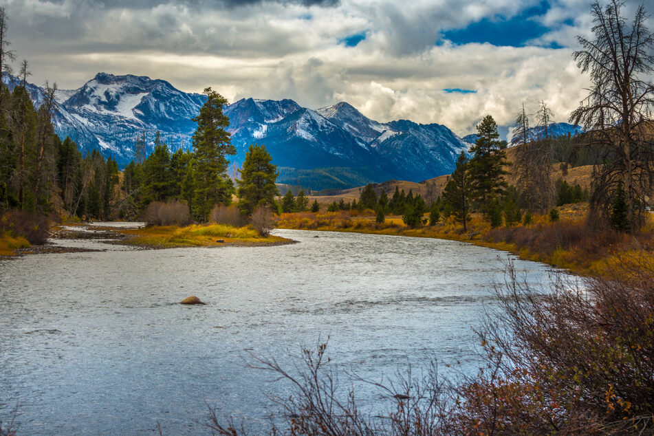 Der Salmon River gilt als Angler-Paradies in den Rocky Mountains. In dem Fluss wimmelt es nur so von Lachsen.