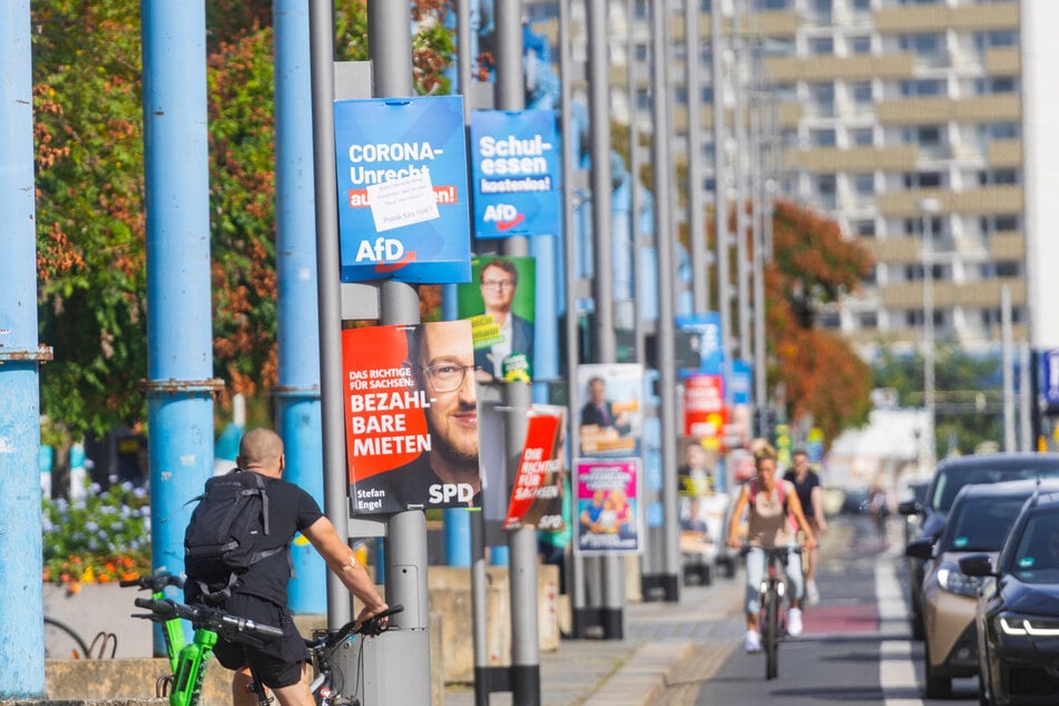 Überall Wahlplakate: Dresden ist für die Parteien ein heiß umkämpftes Terrain.