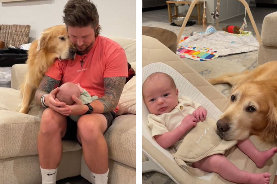 Seit Anfang Oktober kennen und lieben sich Golden Retriever Riley und das Baby seiner Besitzer.