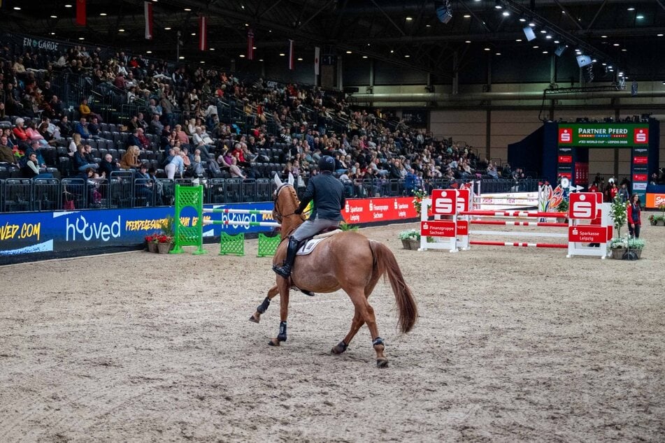Die "Partner Pferd" lockt am Wochenende wieder Reitsport-Fans auf die Leipziger Messe.