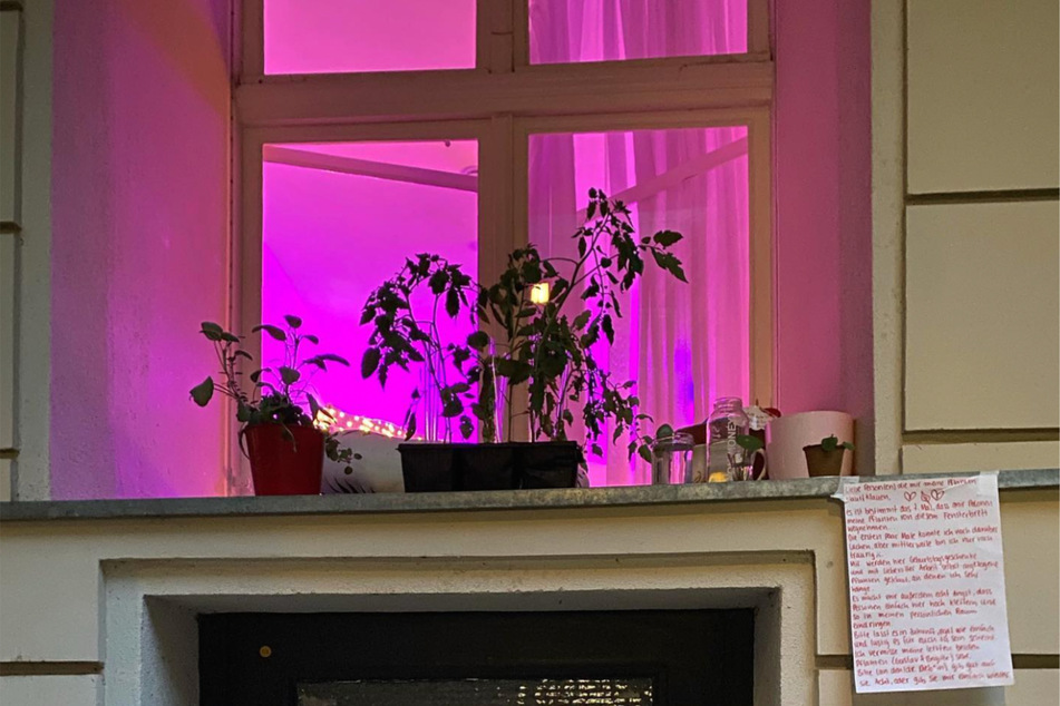 Auf diesem Fensterbrett in Berlin scheinen die Pflanzen aktuell nicht sicher zu sein.
