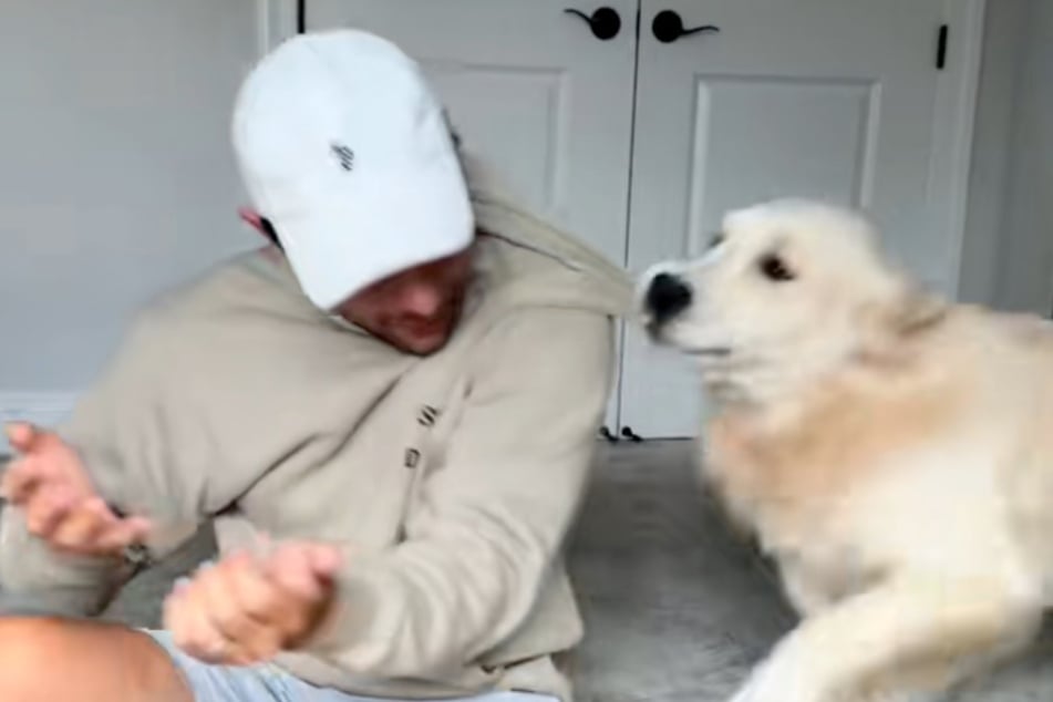 Corey Moriarty ist Kummer gewohnt, seit Golden Retriever Bauer bei ihm lebt.