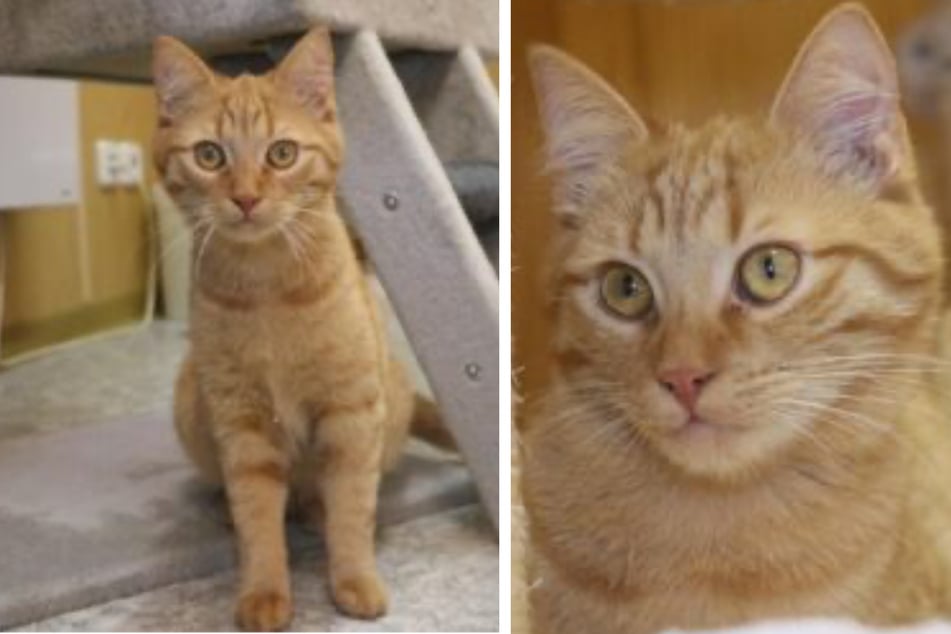 Sedmiměsíční Channing je zpočátku poněkud zdrženlivý.