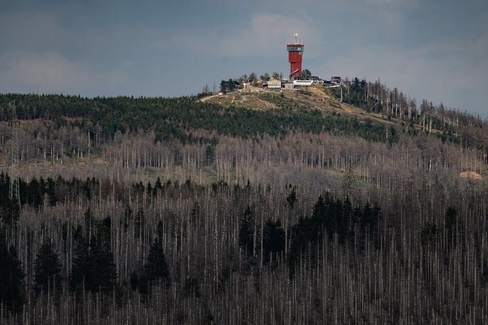 Der Wurmberg ist Niedersachsens höchster Berg.