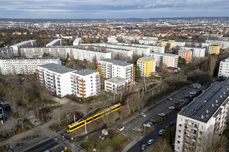 Für die Stadttauben-Initiative wäre in Gorbitz ein Taubenschlag die einzige Möglichkeit, die Tiere zu schützen und die Population zu minimieren.