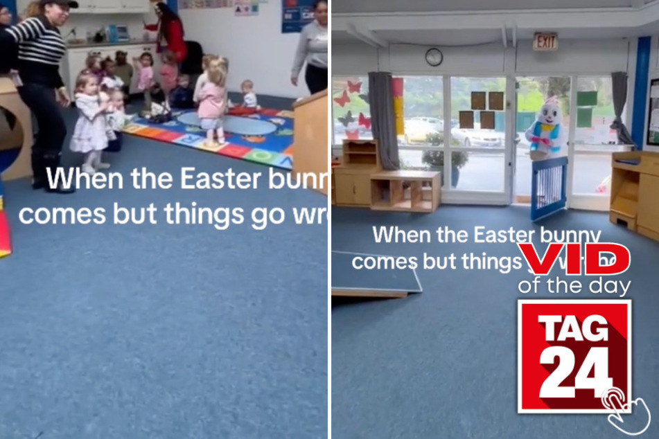Today's Viral Video of the Day features an Easter surprise that sadly didn't go as planned.