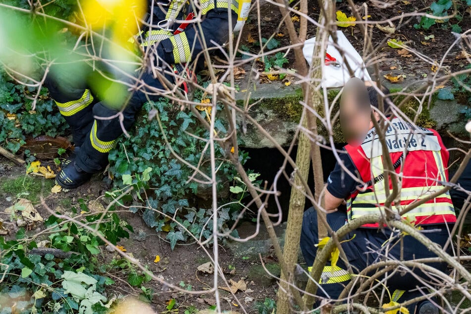 Einsatzkräfte der Feuerwehr bargen die Männerleiche aus dem Tunnelsystem.