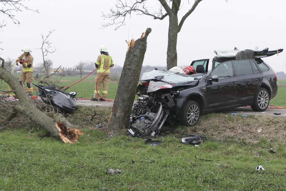 Der Skoda war frontal mit dem Baum kollidiert, wodurch nicht nur Wagen und Insassen zu Schaden kamen. Der Baum brach direkt entzwei.