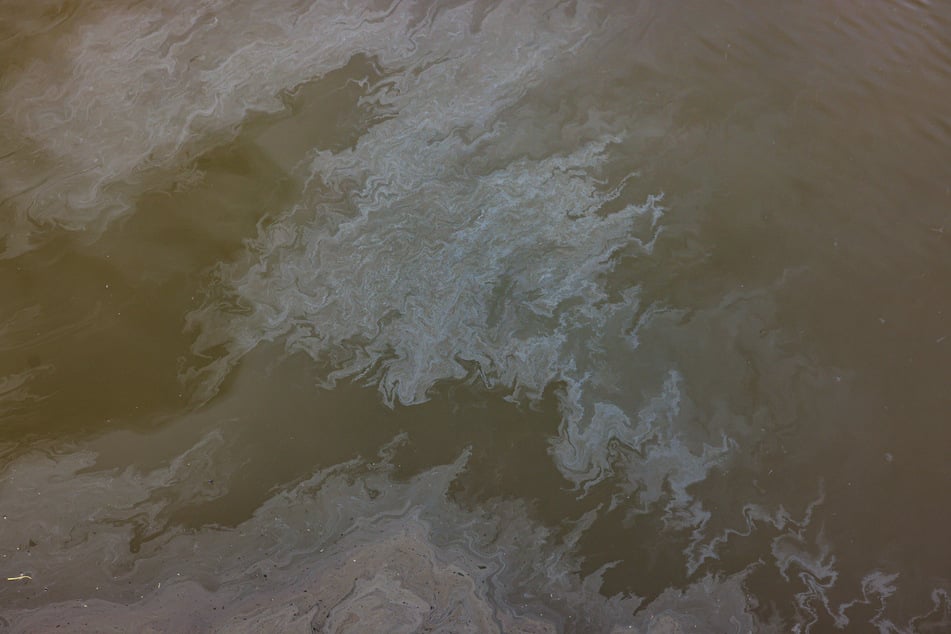 Am Hamburger Hafen sind am Mittag Ölschlieren festgestellt worden. (Symbolbild)