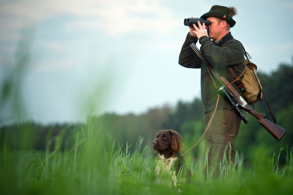 Überwacher: Jäger sind derzeit besonders in der Grenzregion auf der Hut. Dort müssen alle toten Wildschweine auf den ASP-Virus getestet werden.