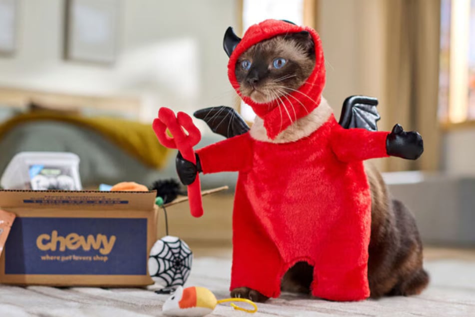 Boo-tiful deals at Chewy: Halloween pet products are massively discounted