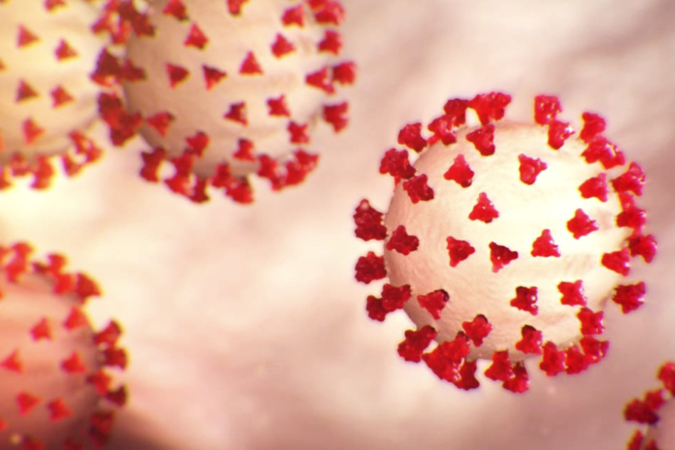 Die Grafik zeigt Abbildungen des neuartigen Coronavirus Sars-CoV-2.