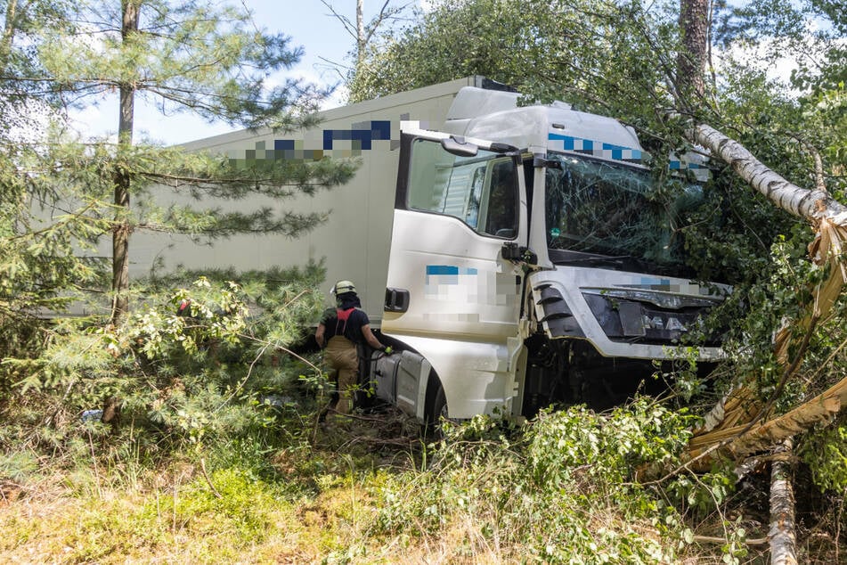 Der Lastwagen hat auf seinen Abwegen mehrere Bäume gefällt, der Fahrer kam mit leichten Verletzungen ins Krankenhaus.