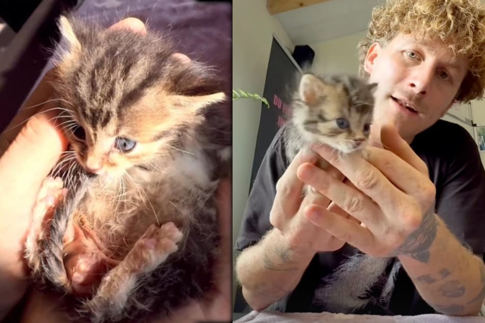 Malte Zierden (32) setzt sich für Kastration von Katzen ein.