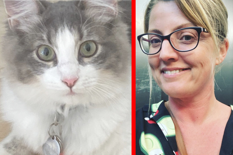 Mathilda the cat made an impressive recovery, and owner Alli couldn't be happier!